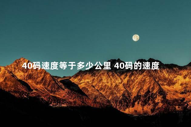 40码速度等于多少公里 40码的速度人能追上吗